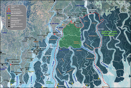 Sundarbans National Park, West Bengal, India